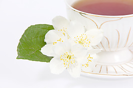 茶白色杯