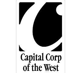 Capital Corp logo设计欣赏 IT高科技公司标志 - Capital Corp下载标志设计欣赏