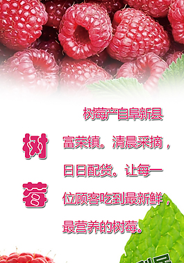 树莓
