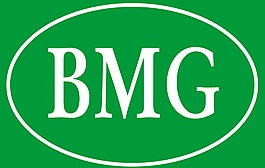 BMG logo设计欣赏 BMG公司标志设计欣赏