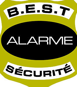 Best Security logo设计欣赏 最佳安全标志设计欣赏