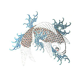 烫钻 鲤鱼 花纹 免费素材