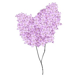 矢量图 植物 写意花卉 花朵 丁香花 免费素材