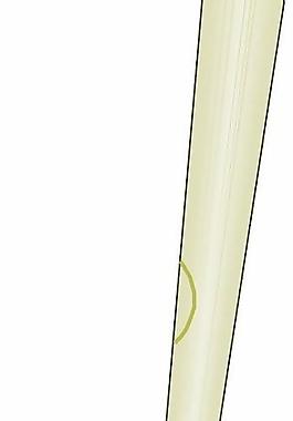 运动器械矢量图