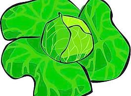矢量蔬菜水果
