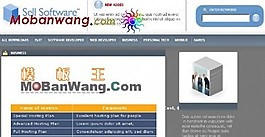软件销售网站模板