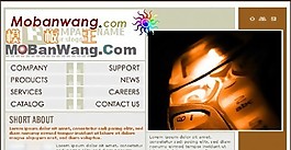 欧美手机科技网页模板
