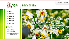 花卉种植园网页模板