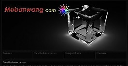 黑色盒子主题网站模板