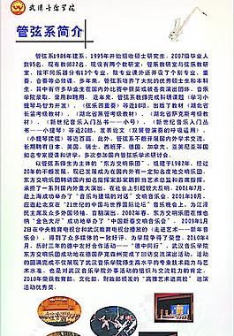 管弦系简介图片