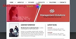 投资管理公司网页模板