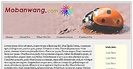 七星瓢虫主题网页模板