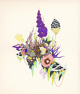 插画 插画师 Yellena James 澳洲 免费素材