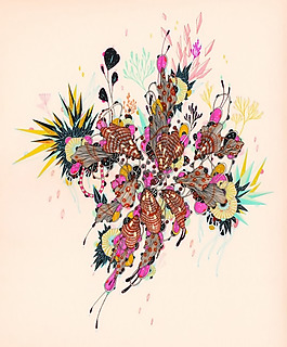 插画 插画师 Yellena James 澳洲 免费素材