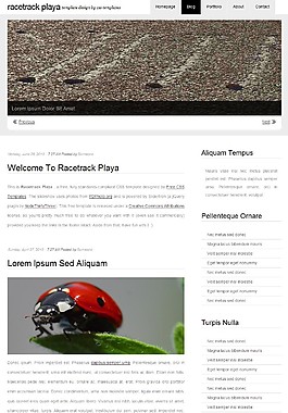 赛马场盐湖主题BLOG网页模板