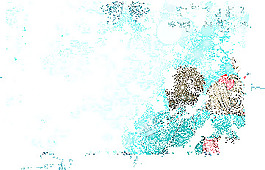 动态蓝色情侣公告图片