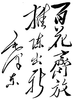毛泽东题字图片