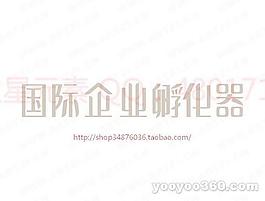 国际企业孵化器