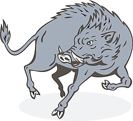 野猪跳