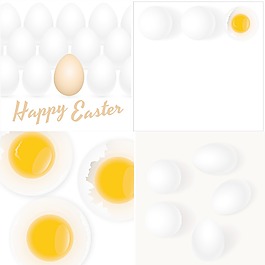 鸡蛋矢量背景