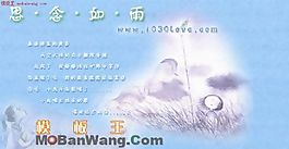 个人主页模版
