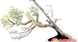 松树盆景矢量图
