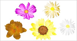 花朵矢量