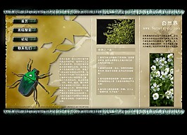自然科普信息网页模板