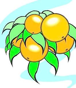 蔬菜水果卡通漫画