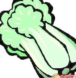 蔬菜水果卡通漫画