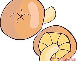卡通香菇
