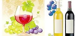 葡萄与葡萄酒矢量素材