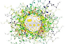 花纹矢量图下载