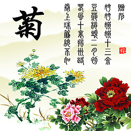 无框画 菊