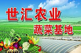 蔬菜大棚图片