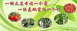 农村大棚蔬菜海报图片