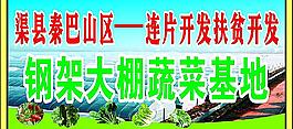 大棚蔬菜基地图片