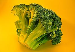 菜花蔬菜图片
