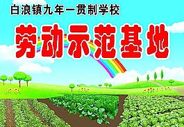蔬菜基地图片