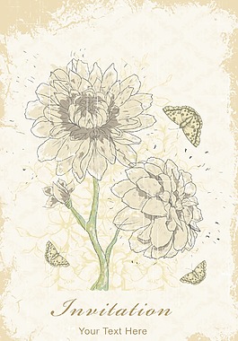 画花卉背景矢量插画