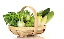 蔬菜背景 白菜 生菜 大蒜 竹篮图片