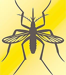 蚊子图片