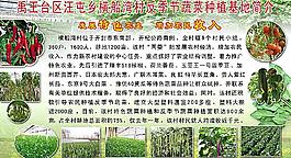 蔬菜种植基地广告图片