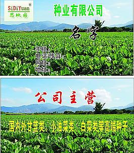 种业公司图片