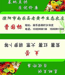蔬菜名片图片