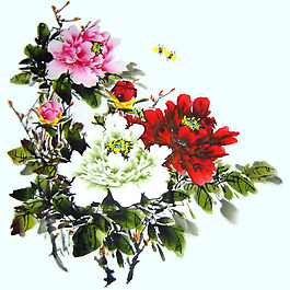 植物 花卉 花卉 免费素材