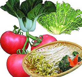 蔬菜图片