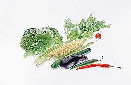 蔬菜瓜果图片