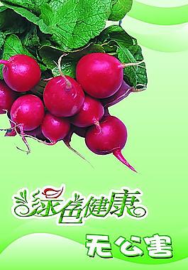 蔬菜图片
