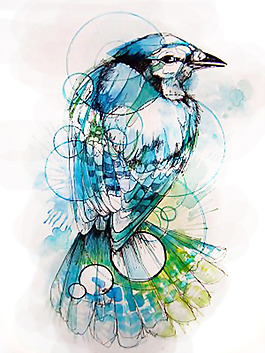 位图 插画 插画师 Abby Diamond 免费素材